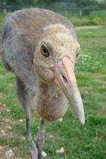 White Green Yellow on 25th July 2013 White Green Yellow on 25th July 2013